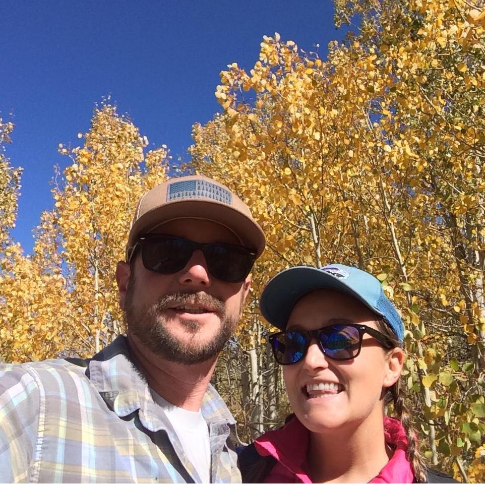 Aspens at the top of Monitor Pass.