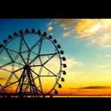 MOA Eye