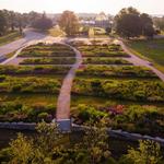 Oudolf Garden Detroit