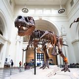 Museums