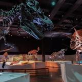Houston Museum of Natural Science