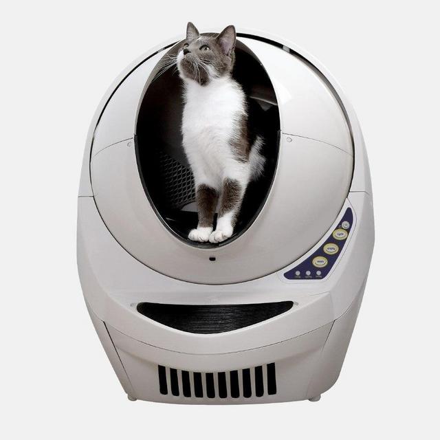 Self cleaning litter box