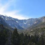 Mount Charleston