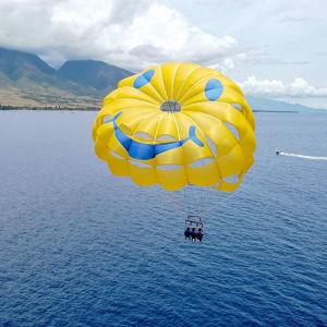 Beach Parasailing
