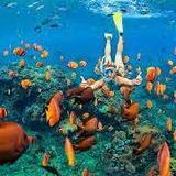 Captain Cook Snorkel Cruise
