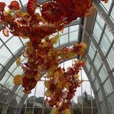 Chihuly Garden and Glass