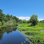 Mass Audubon's Ipswich River Wildlife Sanctuary