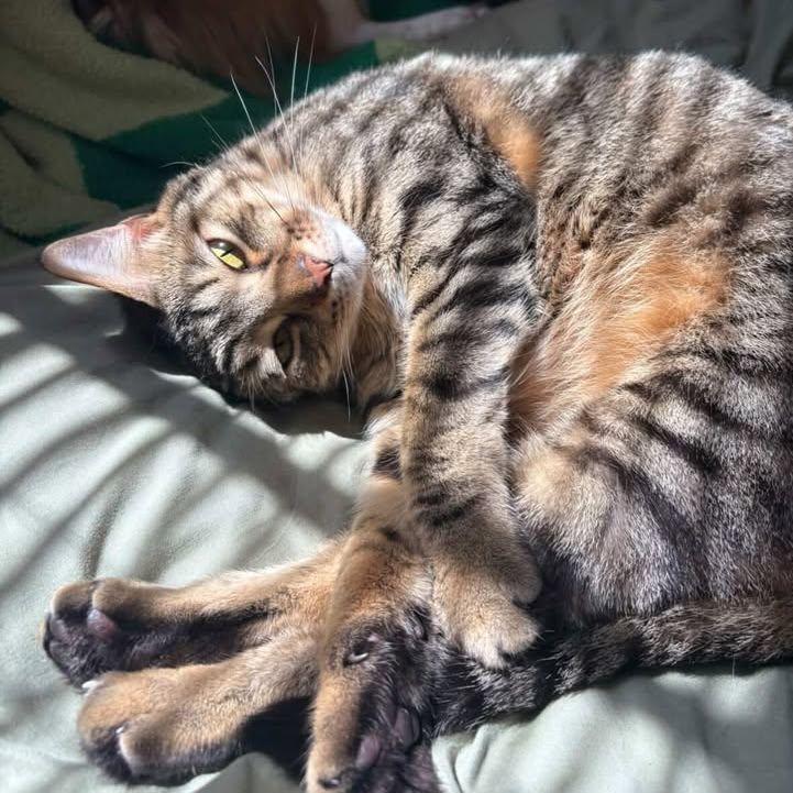 Our Youngest baby Maggie! We love that Mag!