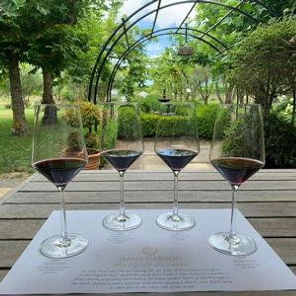 Wine Tasting in Marlborough