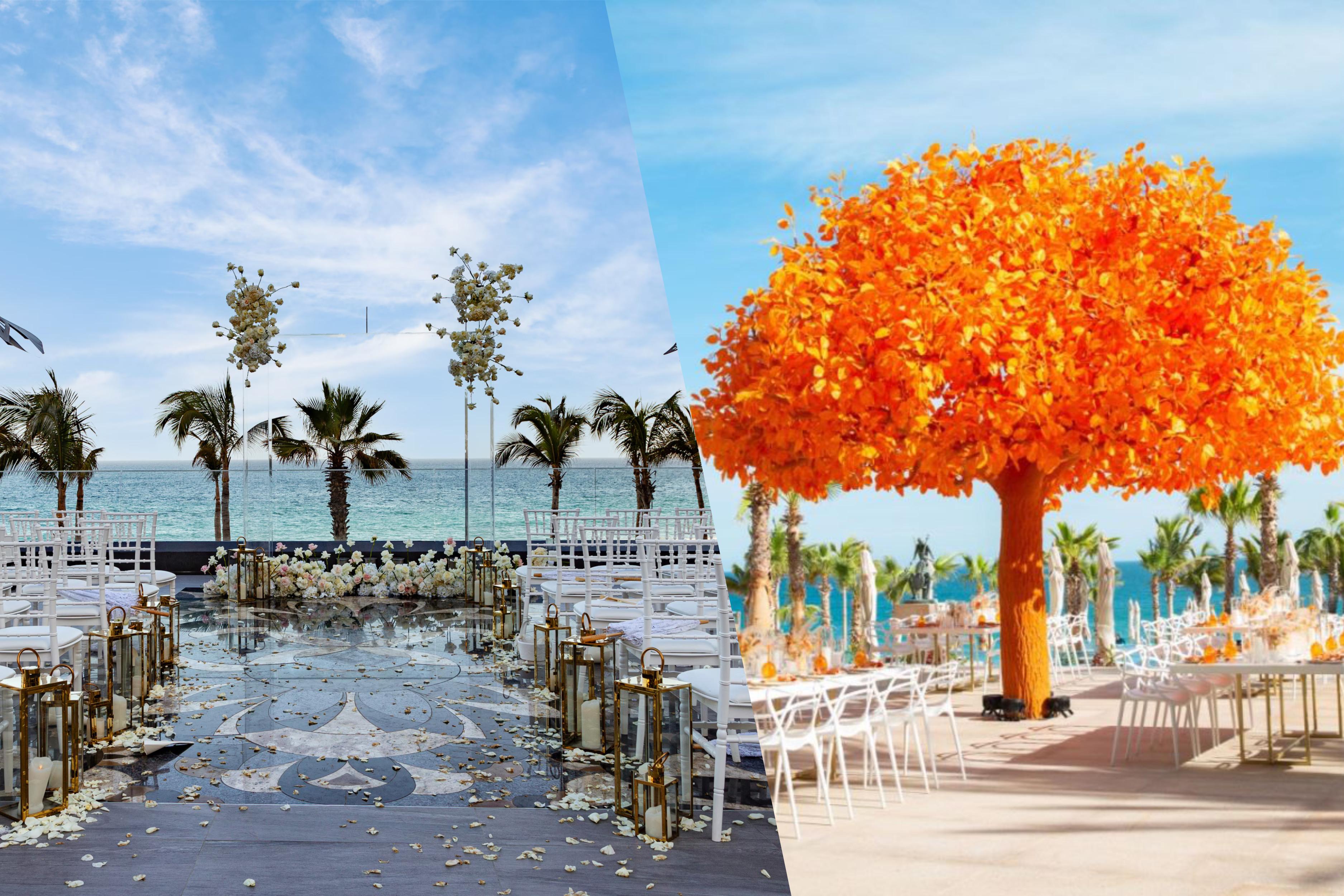 The Wedding Website of SAJISHNU SAVYA and NICOLETTE MOYA