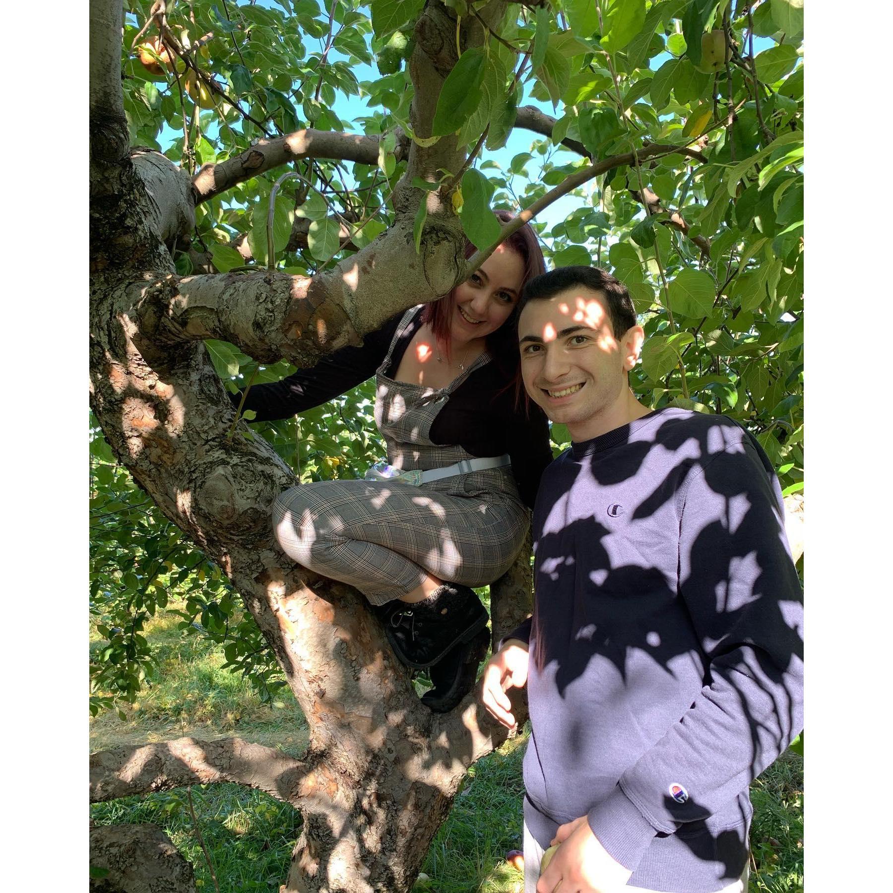 Another apple picking picture!