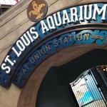 St. Louis Aquarium at Union Station