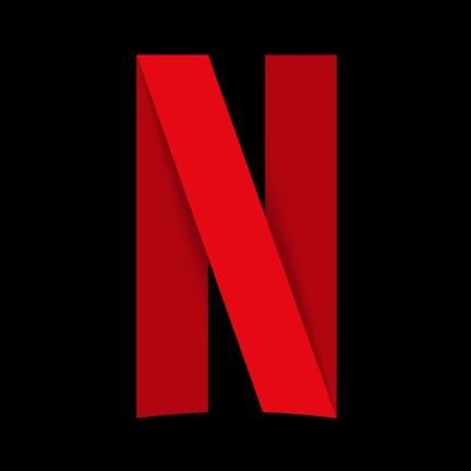 Netflix for One Year