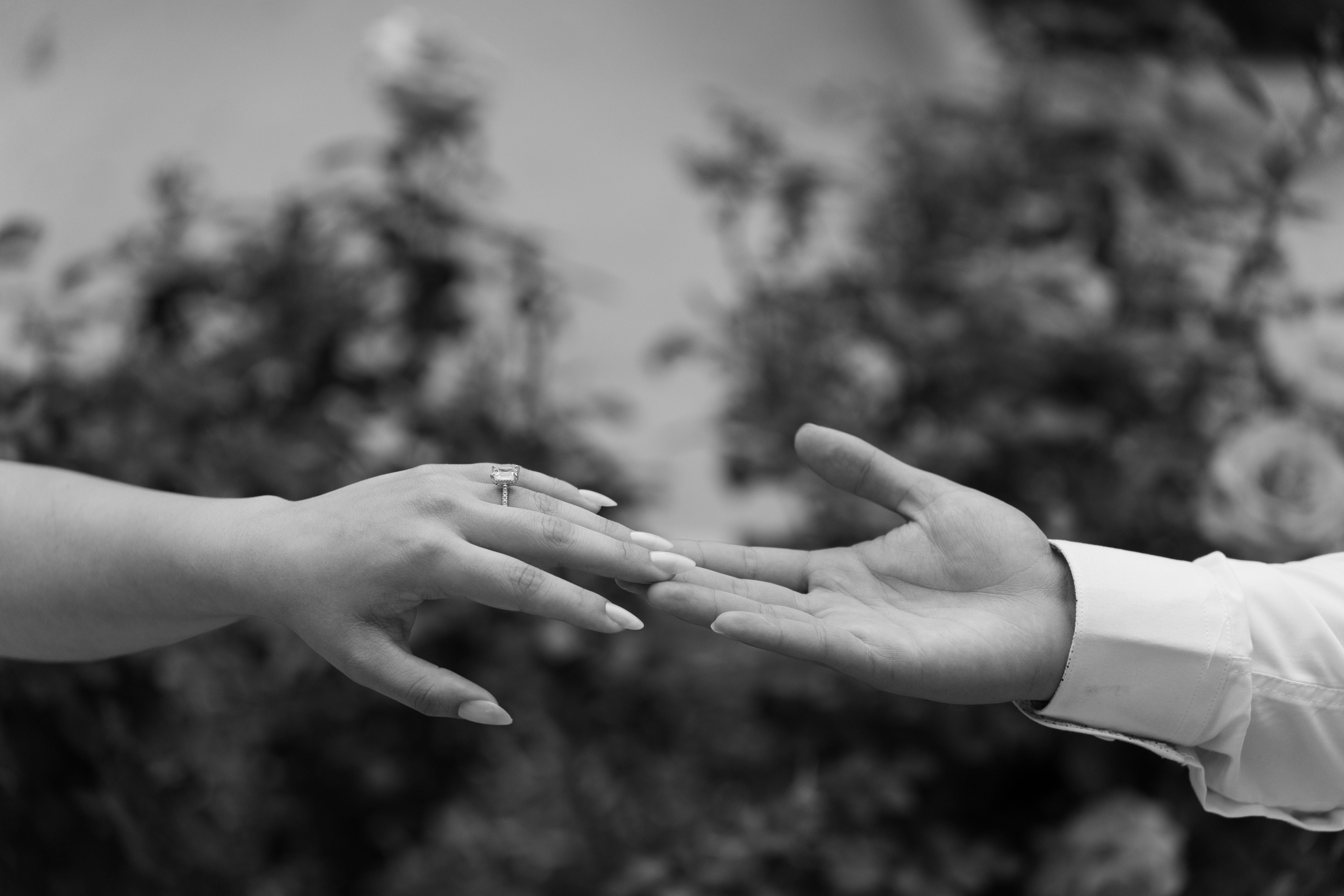 The Wedding Website of Esmeralda Olivares and Jaime Olivares