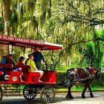 Sea Island Carriage Company