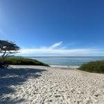 Carmel Beach
