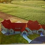 Bonobo Winery
