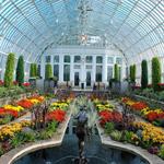 Como Park Zoo & Conservatory