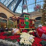 Bellagio Conservatory & Botanical Gardens