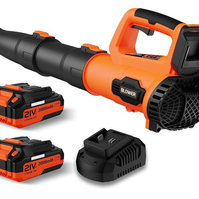 Leaf Blower, 21V Cordless Electric Blower with 2 2.0Ah Batteries and 1 Hour Fast Charger, Lightweight Leaf Blower for Patio Cleaning, Lawn Care, Blowing Fallen Leaves and Dust, etc.
