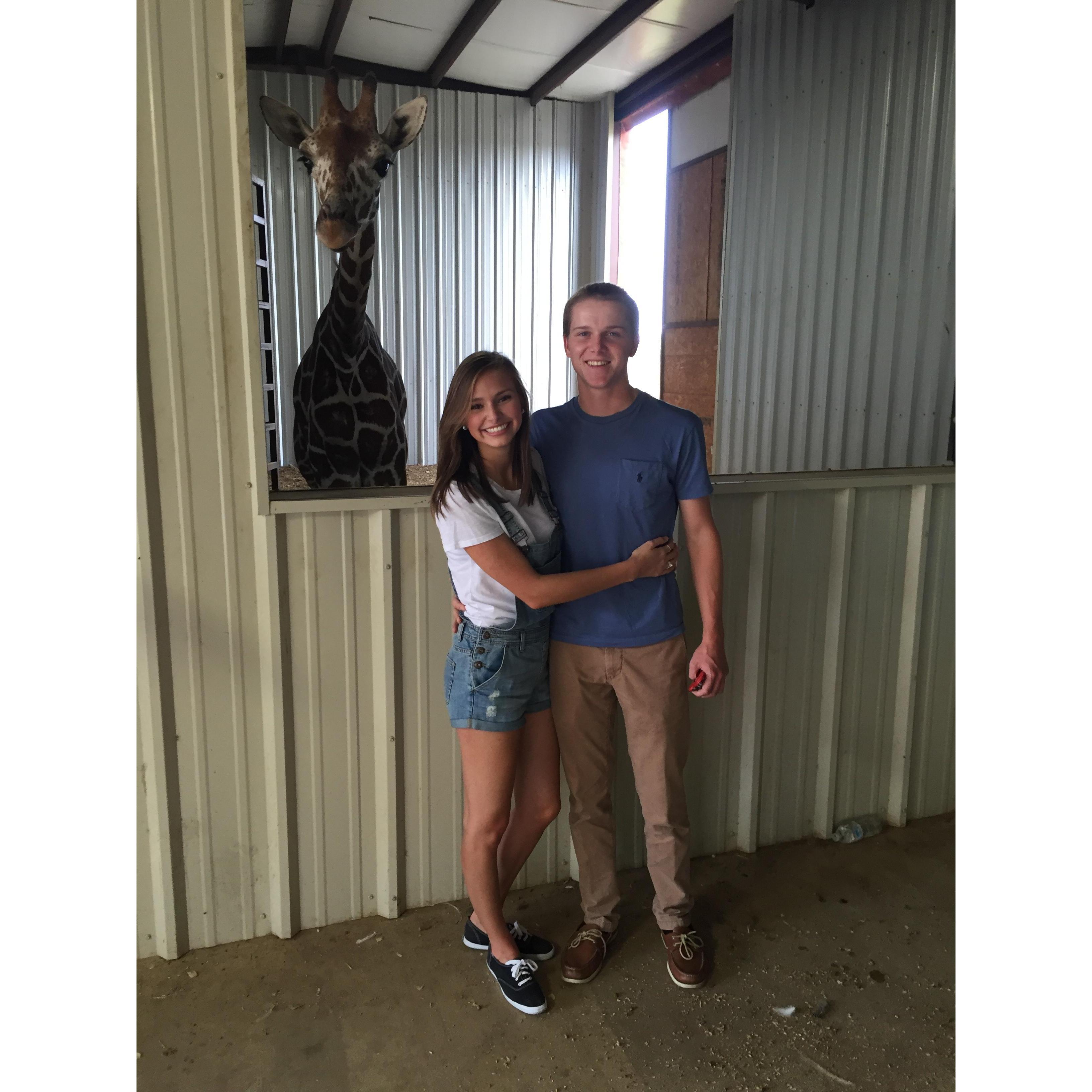 2 year anniversary trip to the Franklin Drive in zoo