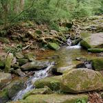 Tyler State Park