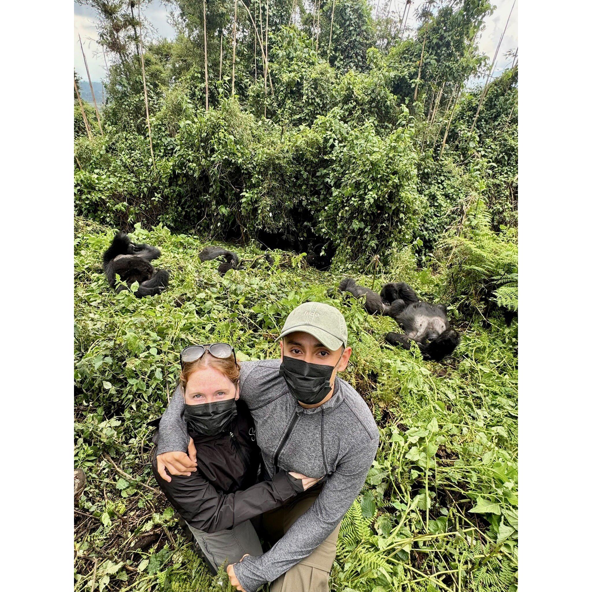 What we came for: the gorillas! Still the best day of my life. An hour we will both surely never forget. Getting up close and personal with these beautiful creatures!