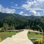 Mountain Mist Farms