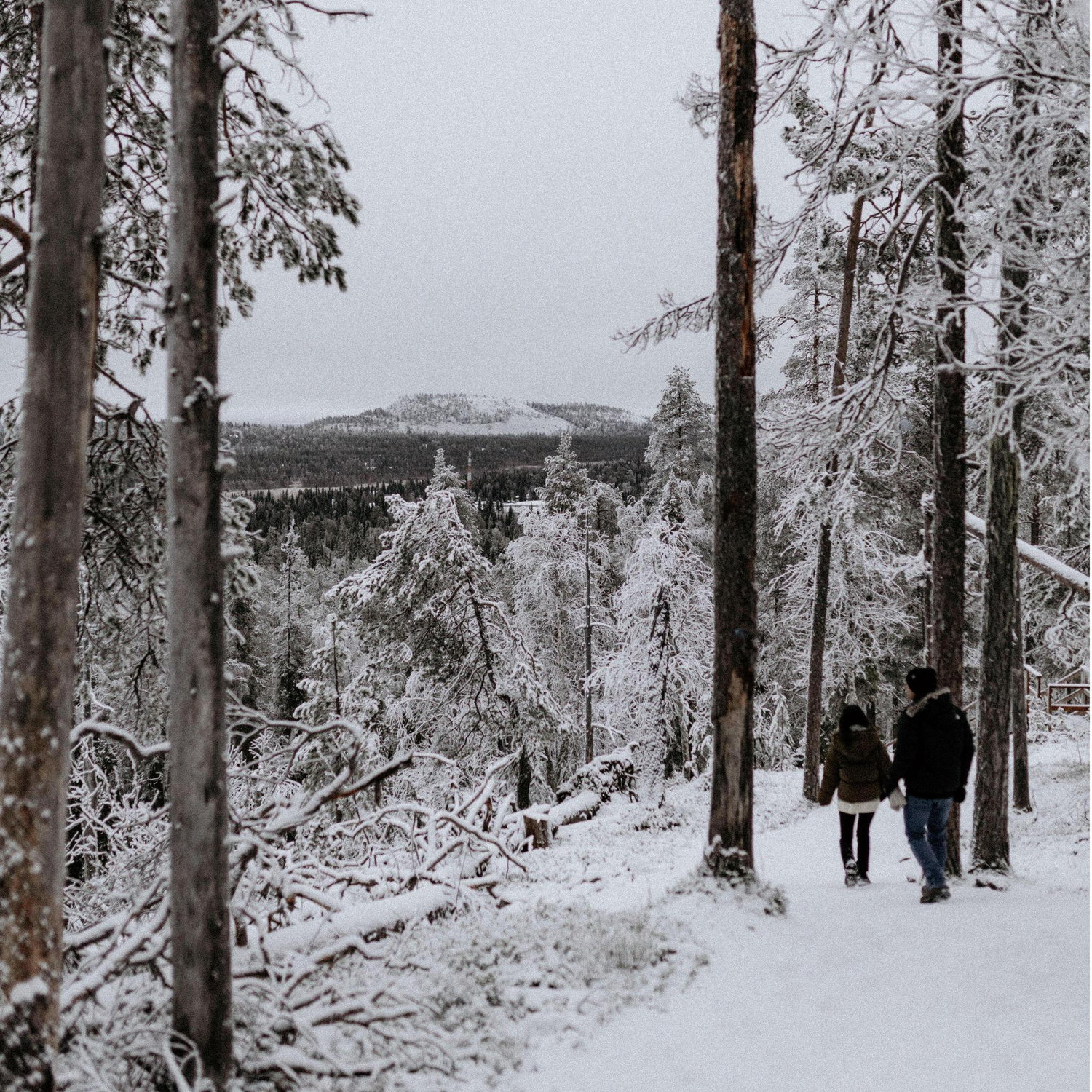 Engaged in Finland