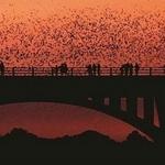 Congress Bridge Bats