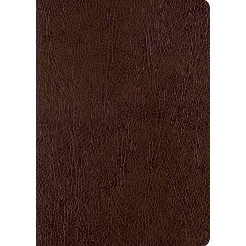 ESV Single Column Journaling Bible, Large Print (Mocha)