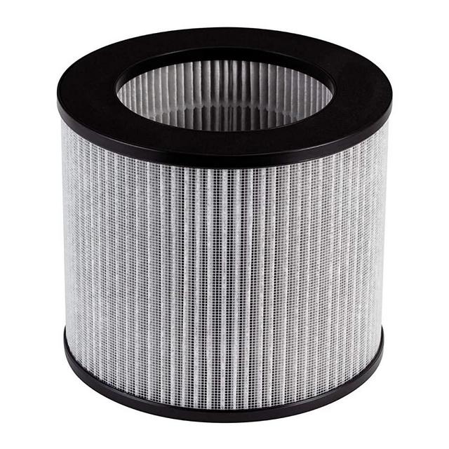 Bissell, 2801 Replacement High Efficiency and Carbon Filter MyAir Personal Air Purifier