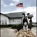 Country Dairy Farm Store