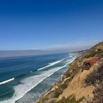 Torrey Pines State Natural Reserve