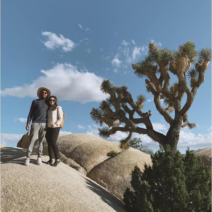 Joshua Tree: Round Two