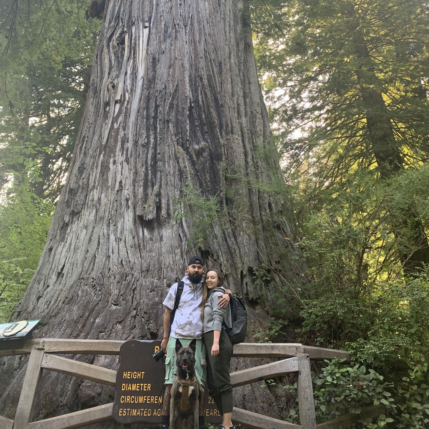 2021 - Redwood National Park