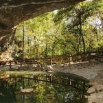 Cave Vineyard