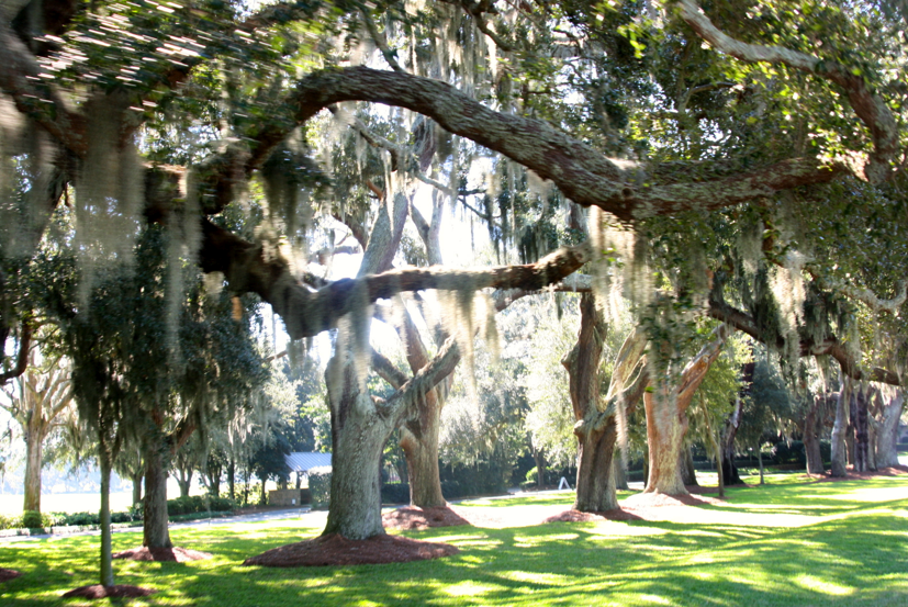 The Wedding Website of Kelly Cox and J.T. Poston