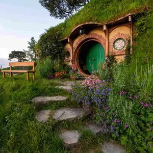Hobbiton Tour
