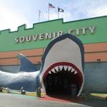 Souvenir City