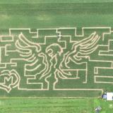 Duncan's Corn Maze and Pumpkin Patch
