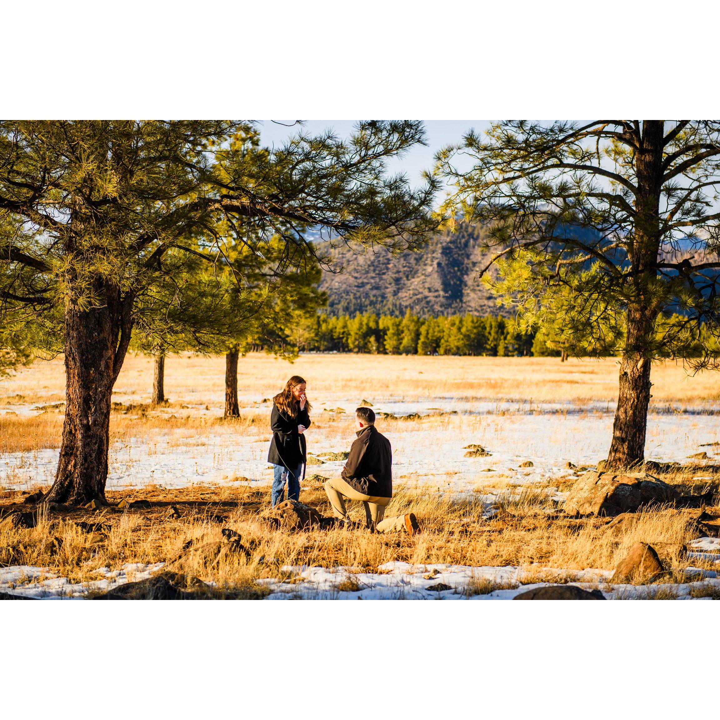 The proposal Flagstaff, AZ