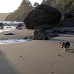 Trinidad Beach & Moonstone Crossing Winery