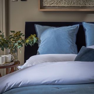 Harewood Pillow Sham, Set of 2