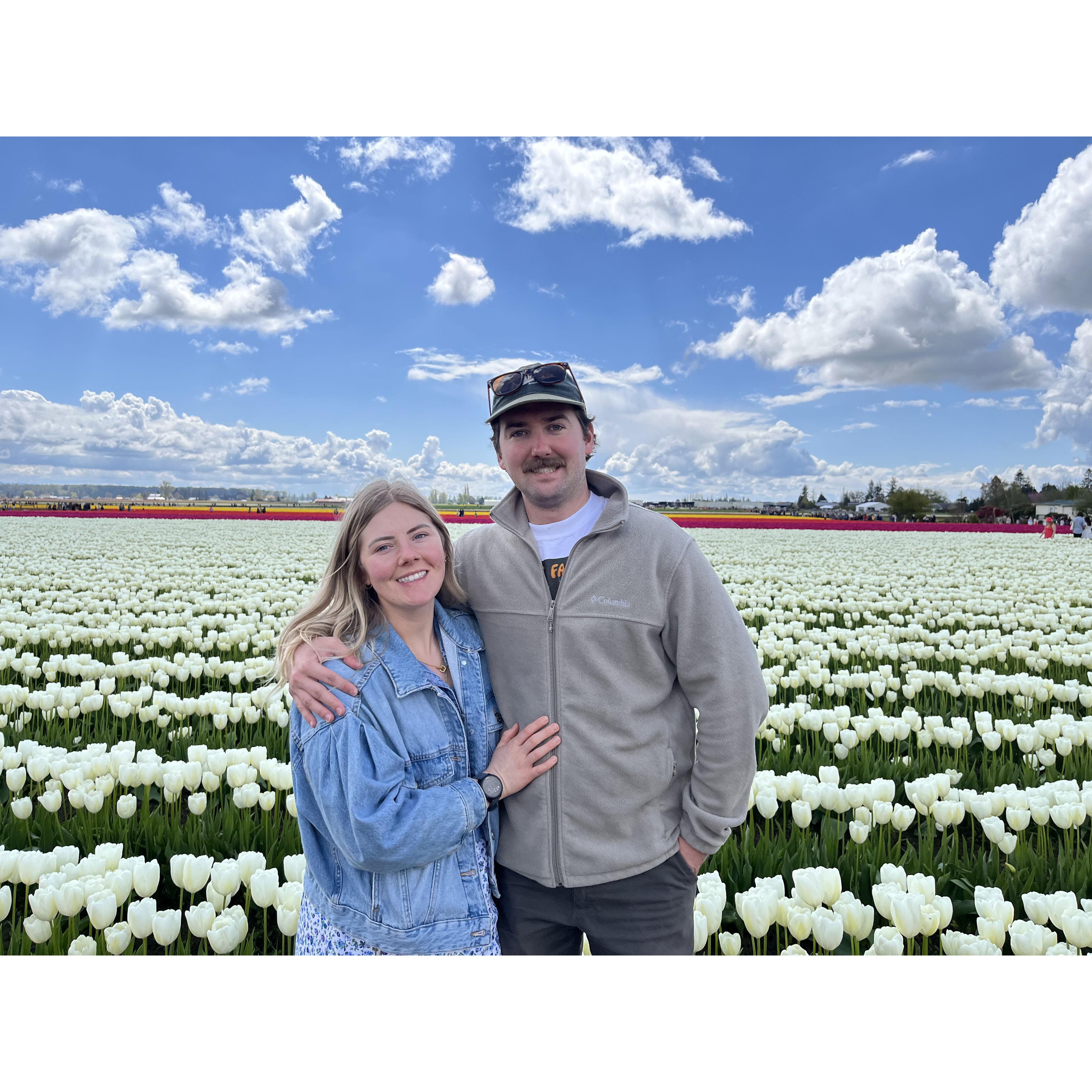 Tulip Festival - 2022