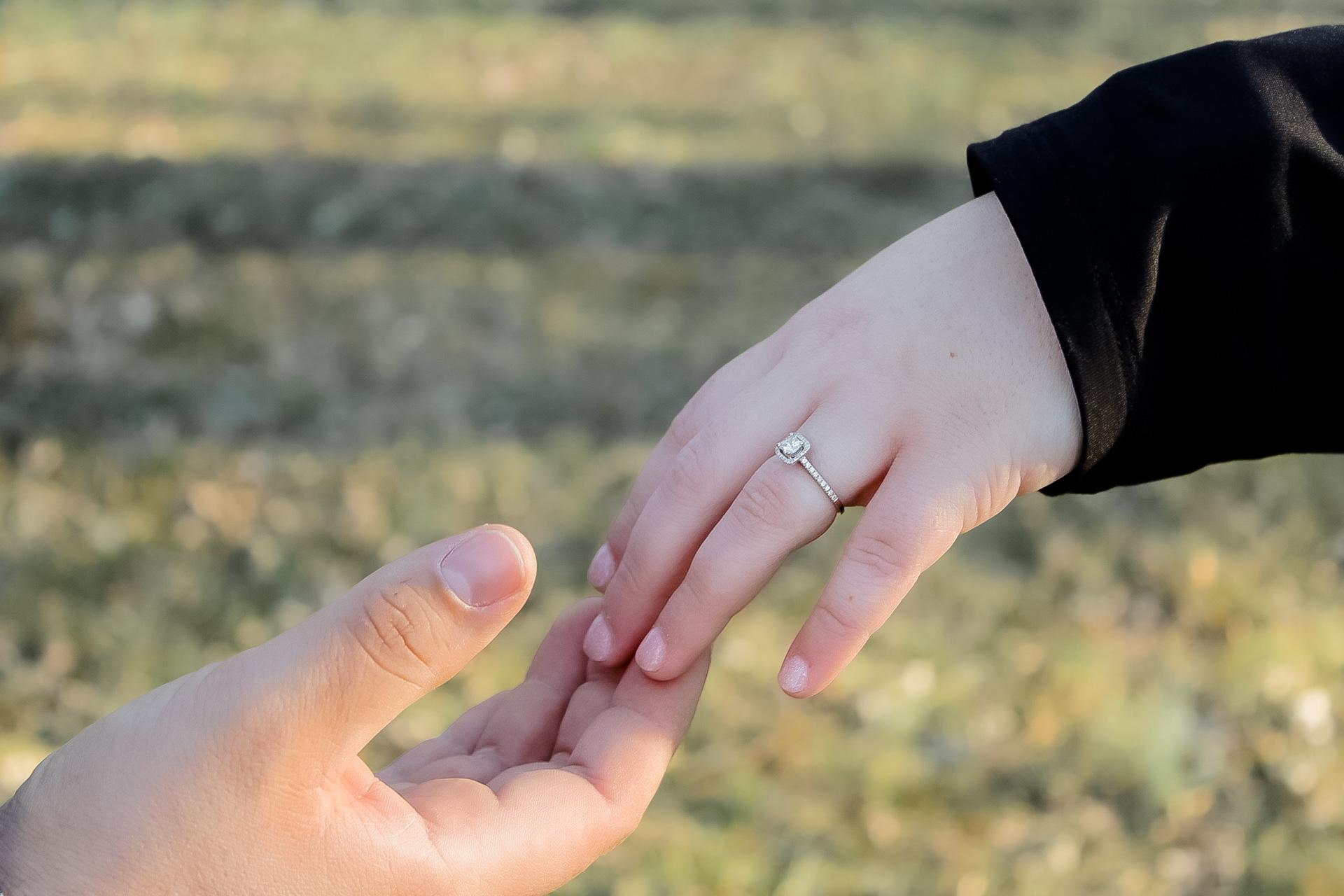 The Wedding Website of Christopher Spinks and Isabella Adelizzi