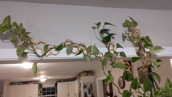 Honeycomb Hanging Plant Trellis 5 Pack *Multiple Sizes & Colors*
