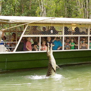 Crocadile Adventure Tour
