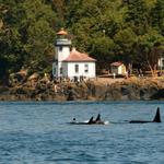Lime Kiln Lighthouse