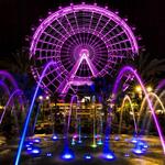 The Wheel at ICON Park™